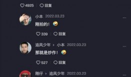 安妮妈妈爆料视频全集,揭秘家庭真相与育儿心酸