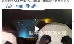 刘大锤最新爆料公众人物,公众人物背后的惊人真相